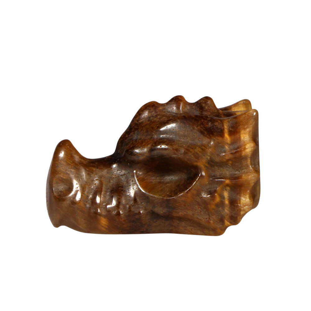 Tijgeroog draken schedeltje