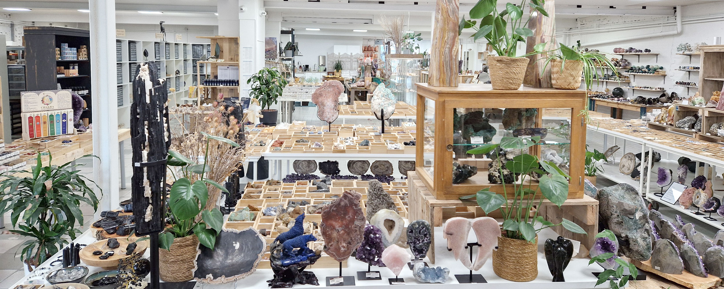 Bezoek ook onze winkel in Udenhout