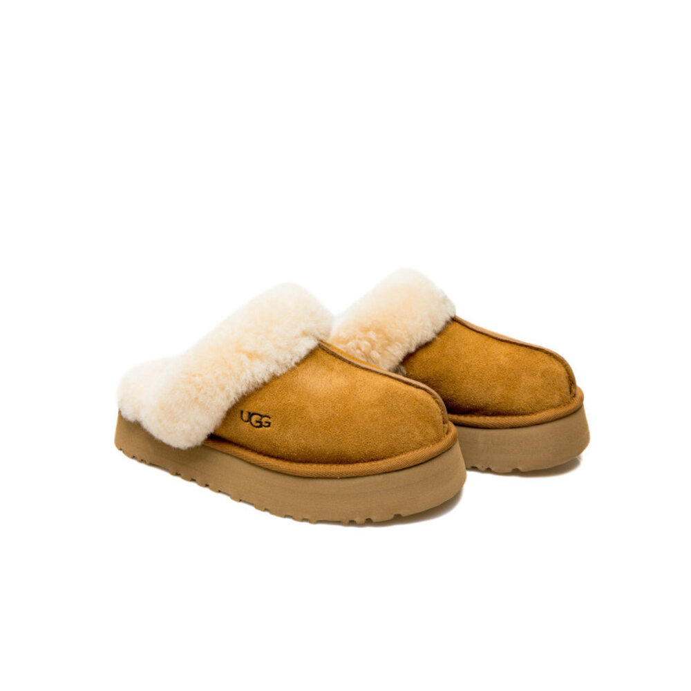 Ugg  Disquette Bruin