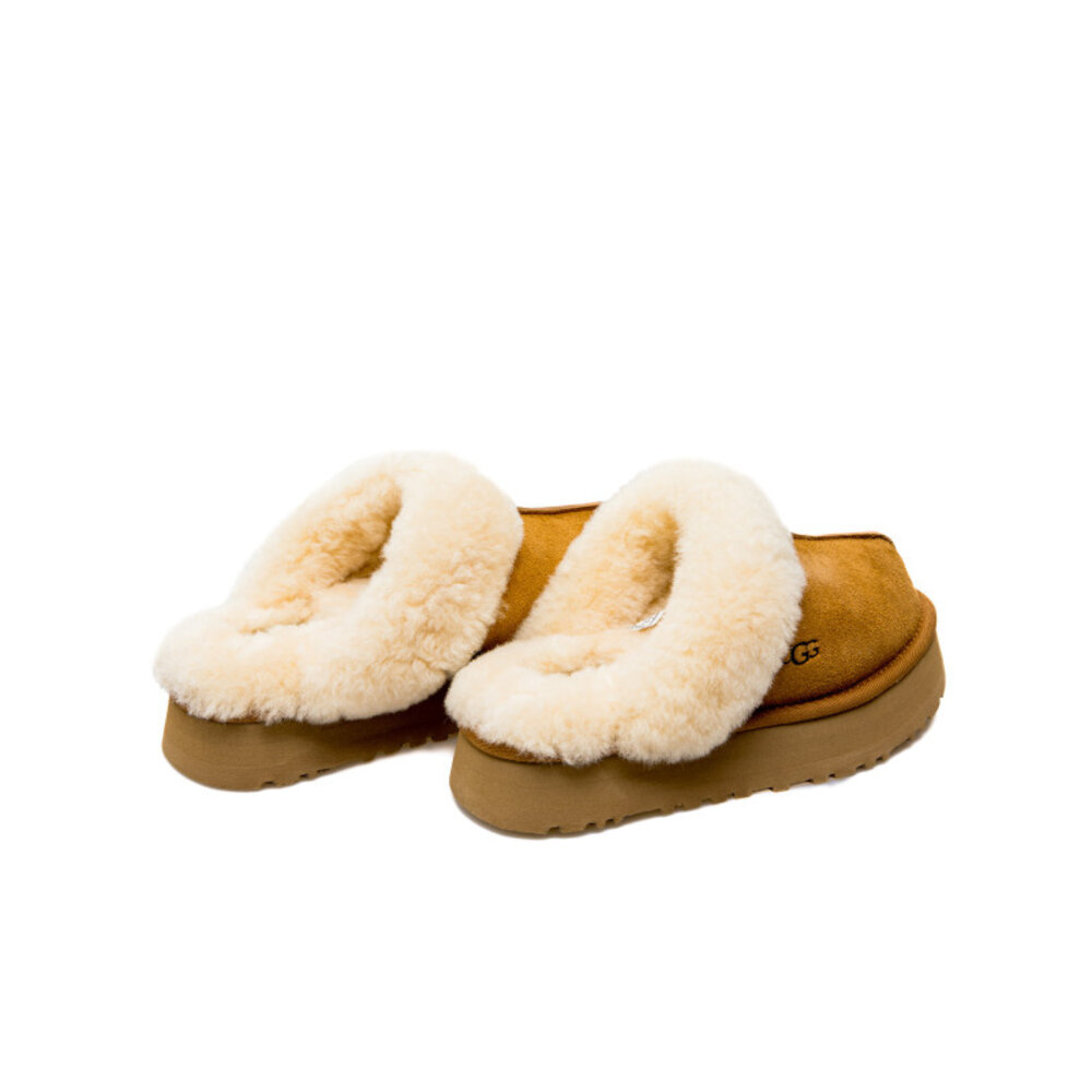 Ugg  Disquette Bruin