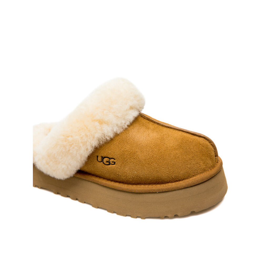 Ugg  Disquette Bruin