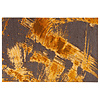 Floorpassion Jairo 69 - Vintage Teppich in Gold-braun
