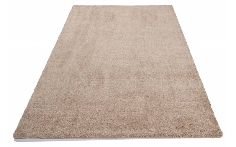 Liv 13 - Hochflor Teppich met Beige