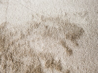 Runder Einfarbiger Teppich in Sand/Beige - Frisco 12