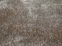 Hochflor Teppich Ross 16 Mix Beige/Grau - Oval