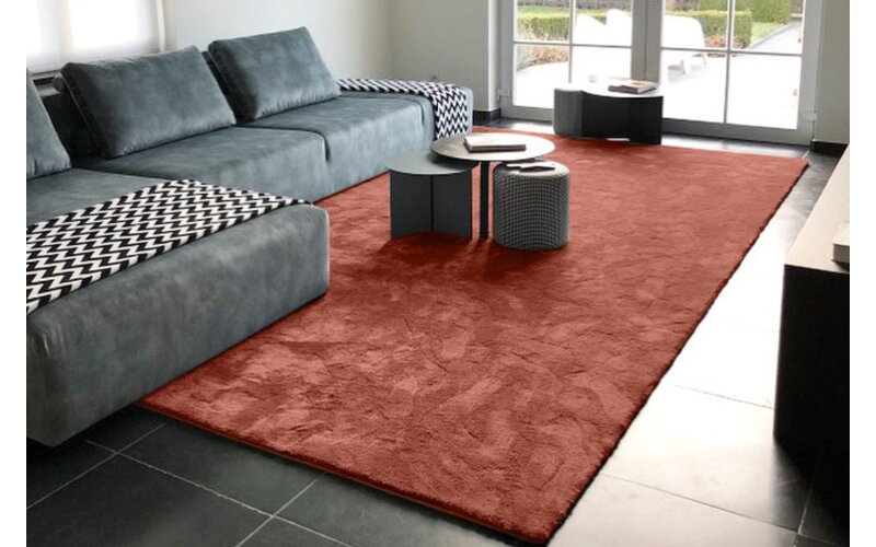 Moderner Hochflor Teppich Sandro 63 - Barn Red