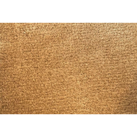 Essence 62 - Camel Gold