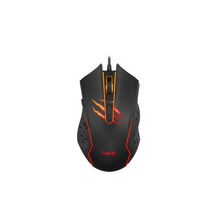 Souris