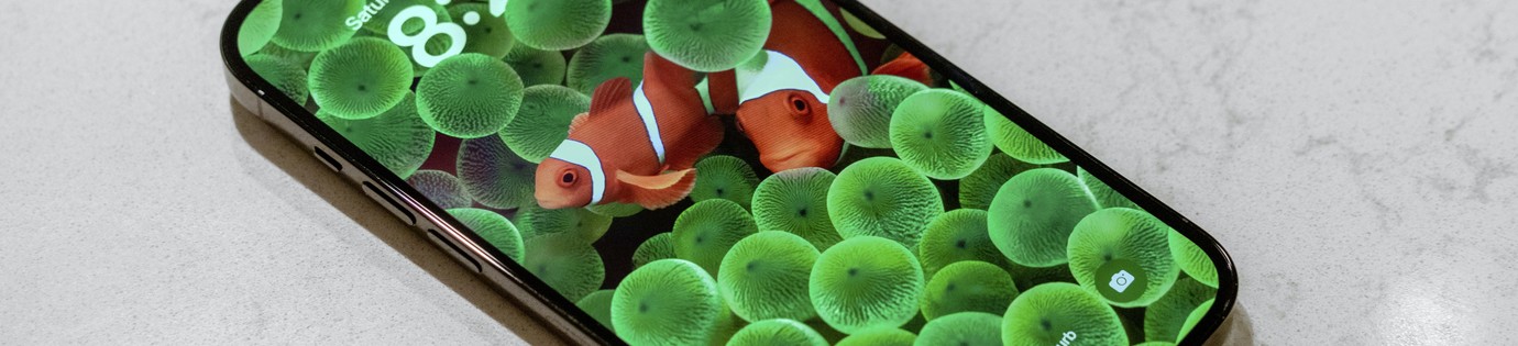 Uw gids voor de beste iPhone 14-hoesjes en accessoires