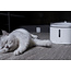 Xiaomi Smart Pet Fountain EU versie