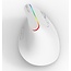 Delux Wireless Vertical Mouse M618C