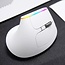 Delux Wireless Vertical Mouse M618C