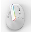 Delux Souris verticale sans fil M618C