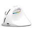 Delux Wireless Vertical Mouse M618mini