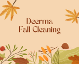 A Fresh Start With Fall Cleaning