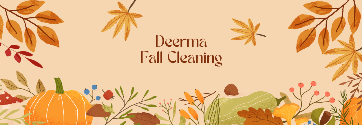 A Fresh Start With Fall Cleaning