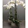 Zijden plantenarrangement orchidee