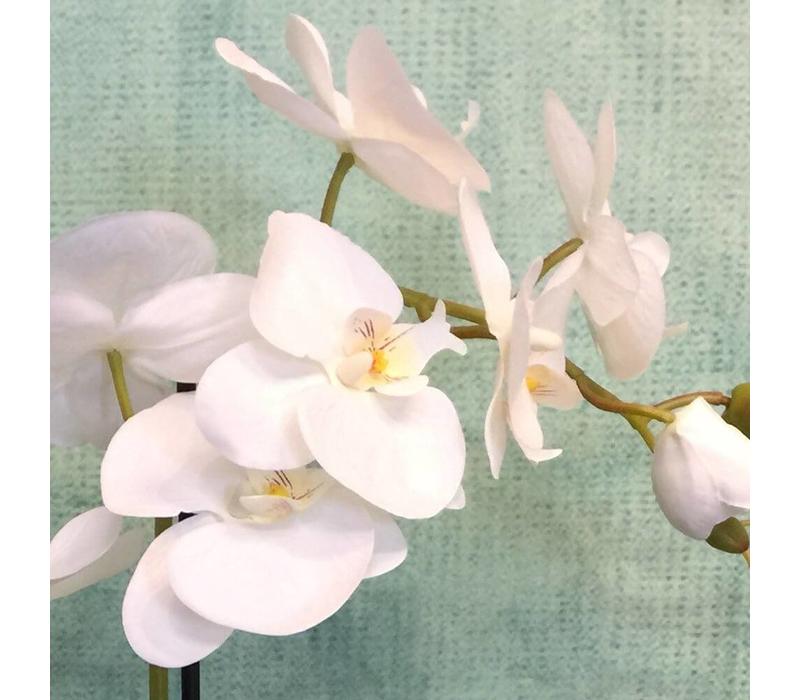Zijdestuk ovaal orchidee