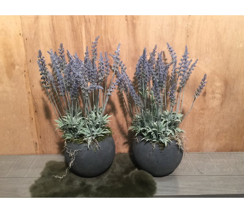 Lavendel in grijze sierpot