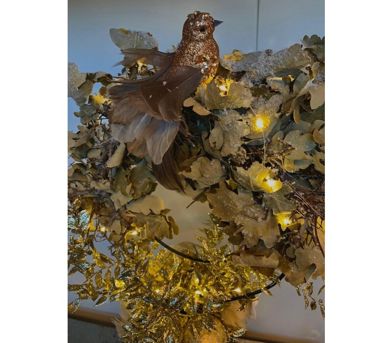 Gouden Winterkrans