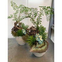 Groen Oasis – Zijden Bloemstuk