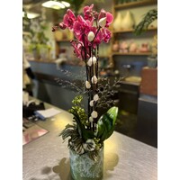 Fuchsia Orchidee in Groene Keramieken Pot