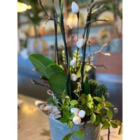 Witte Orchidee in Blauwe Keramieken Pot