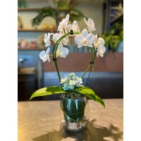 Witte Orchidee in Glazen Vaas