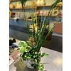 Ron Bloemenweelde Groen Arrangement in Rustieke Pot