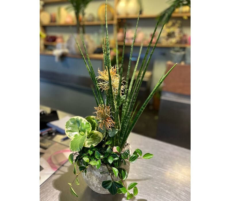 Groen Arrangement in Rustieke Pot