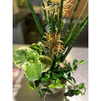 Groen Arrangement in Rustieke Pot