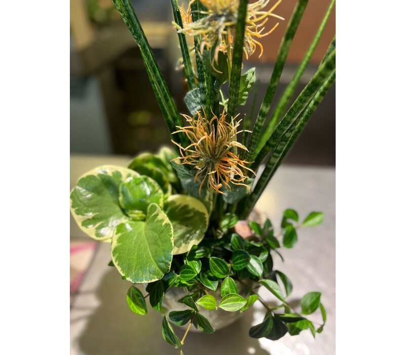 Groen Arrangement in Rustieke Pot