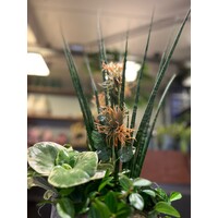 Groen Arrangement in Rustieke Pot