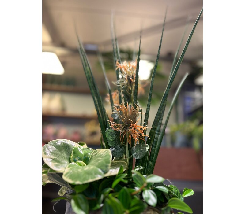 Groen Arrangement in Rustieke Pot