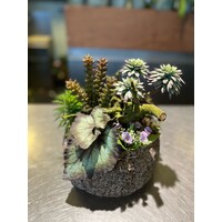 Vetplanten Arrangement in Natuurstenen Pot