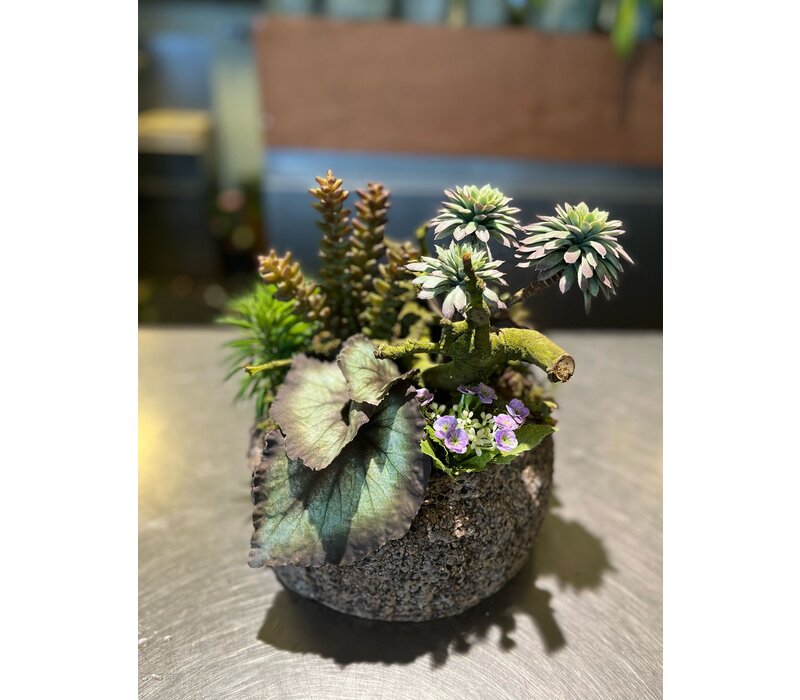 Vetplanten Arrangement in Natuurstenen Pot