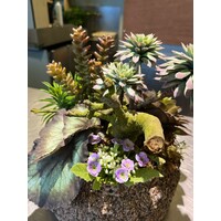 Vetplanten Arrangement in Natuurstenen Pot