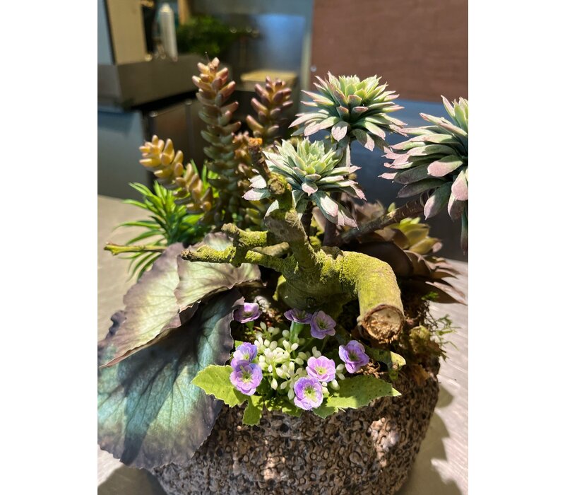 Vetplanten Arrangement in Natuurstenen Pot
