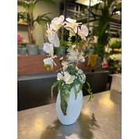 Orchideeënrust