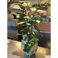 Tropisch Groen Zijden Arrangement in Glanzende Pot