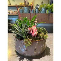 Vetplanten Arrangement in Stijlvolle Sierpot