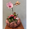 Hoog Kerststuk Orchidee