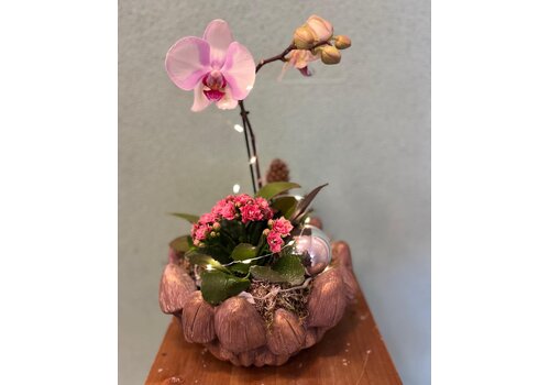 Hoog Kerststuk Orchidee