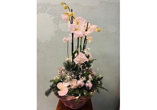 Kerststuk Mand Witte Orchidee