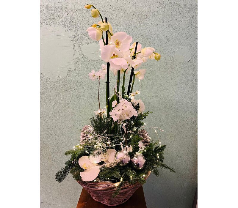 Kerststuk Mand Witte Orchidee