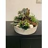 Succulentenschotel met houtaccenten