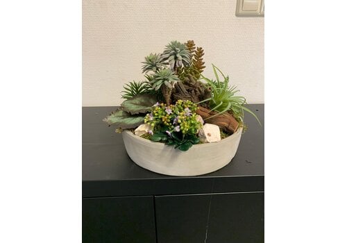 Sfeervolle Succulentenschotel