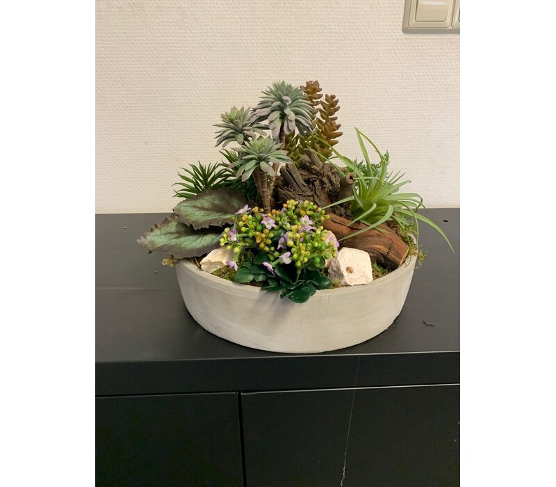 Succulentenschotel met houtaccenten
