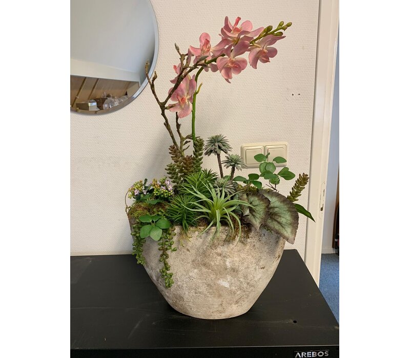 Vaas met orchidee en vetplanten