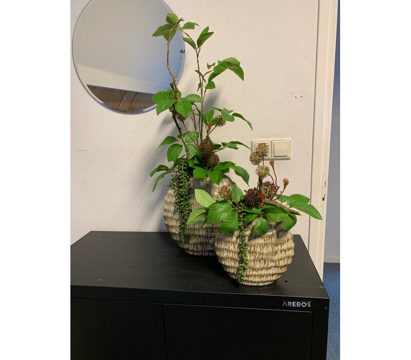 Vaas met groen blad en natuurlijke takken